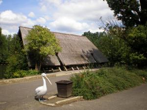 Zoopark